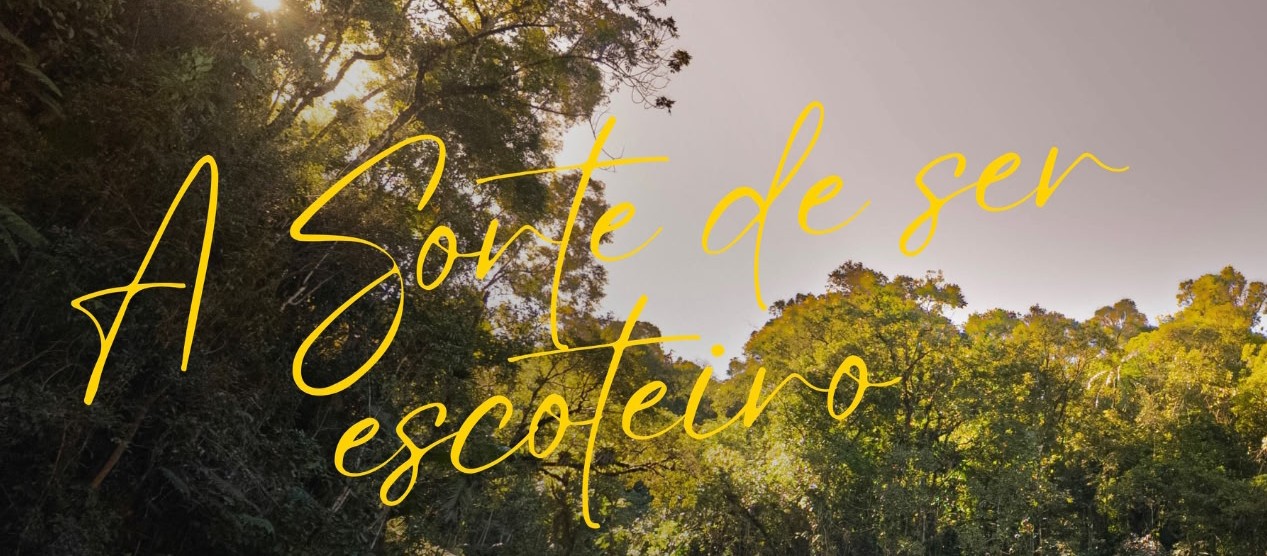 Les Compagnons Scouts de Ste Bernadette vous invitent au cinéma le 11 avril 2026